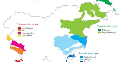 Mappa della Slovenia vino